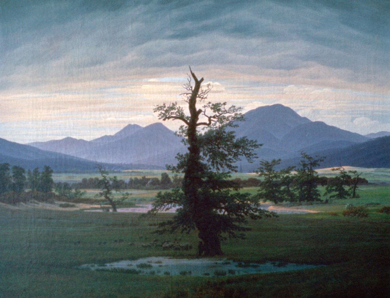 Samotne drzewo, 1823 autorstwa Caspar David Friedrich
