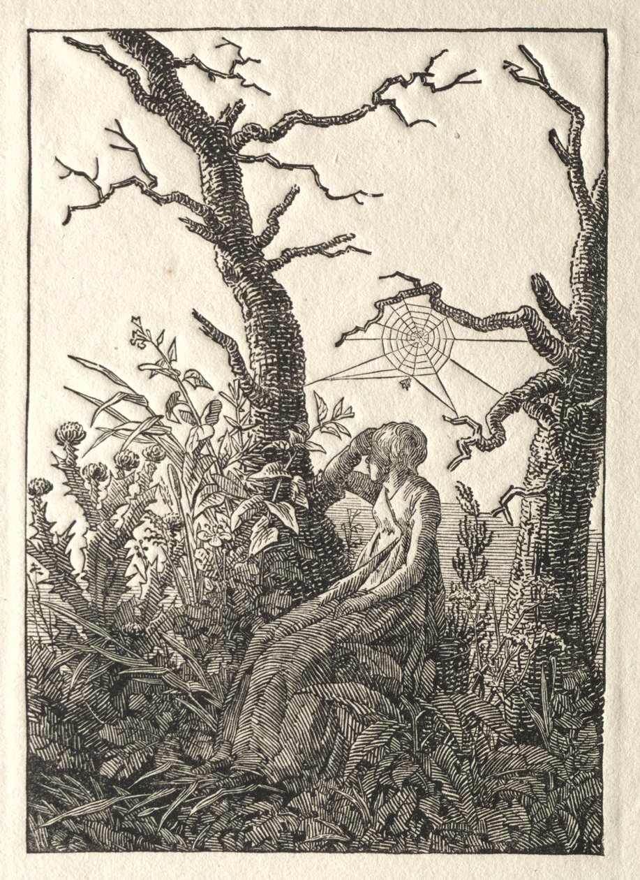 Kobieta z pajęczyną między nagimi drzewami, 1803. autorstwa Caspar David Friedrich