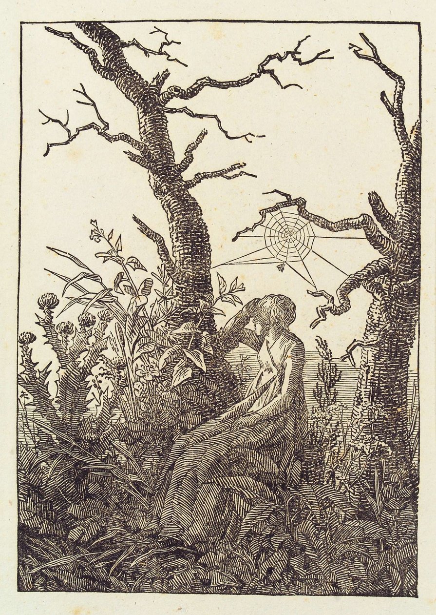 Kobieta z pajęczyną autorstwa Caspar David Friedrich