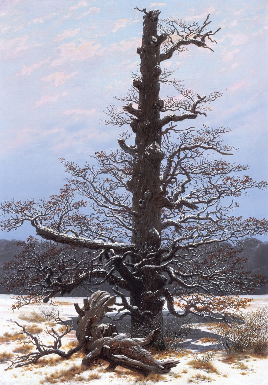 Zimowy pejzaż (nagie drzewo) autorstwa Caspar David Friedrich
