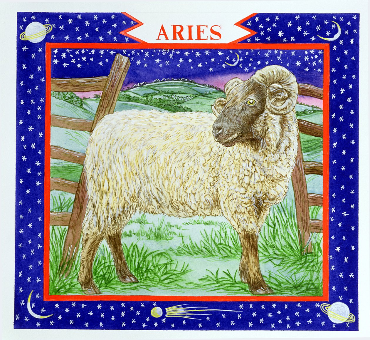 Baran (wc na papierze) autorstwa Catherine Bradbury