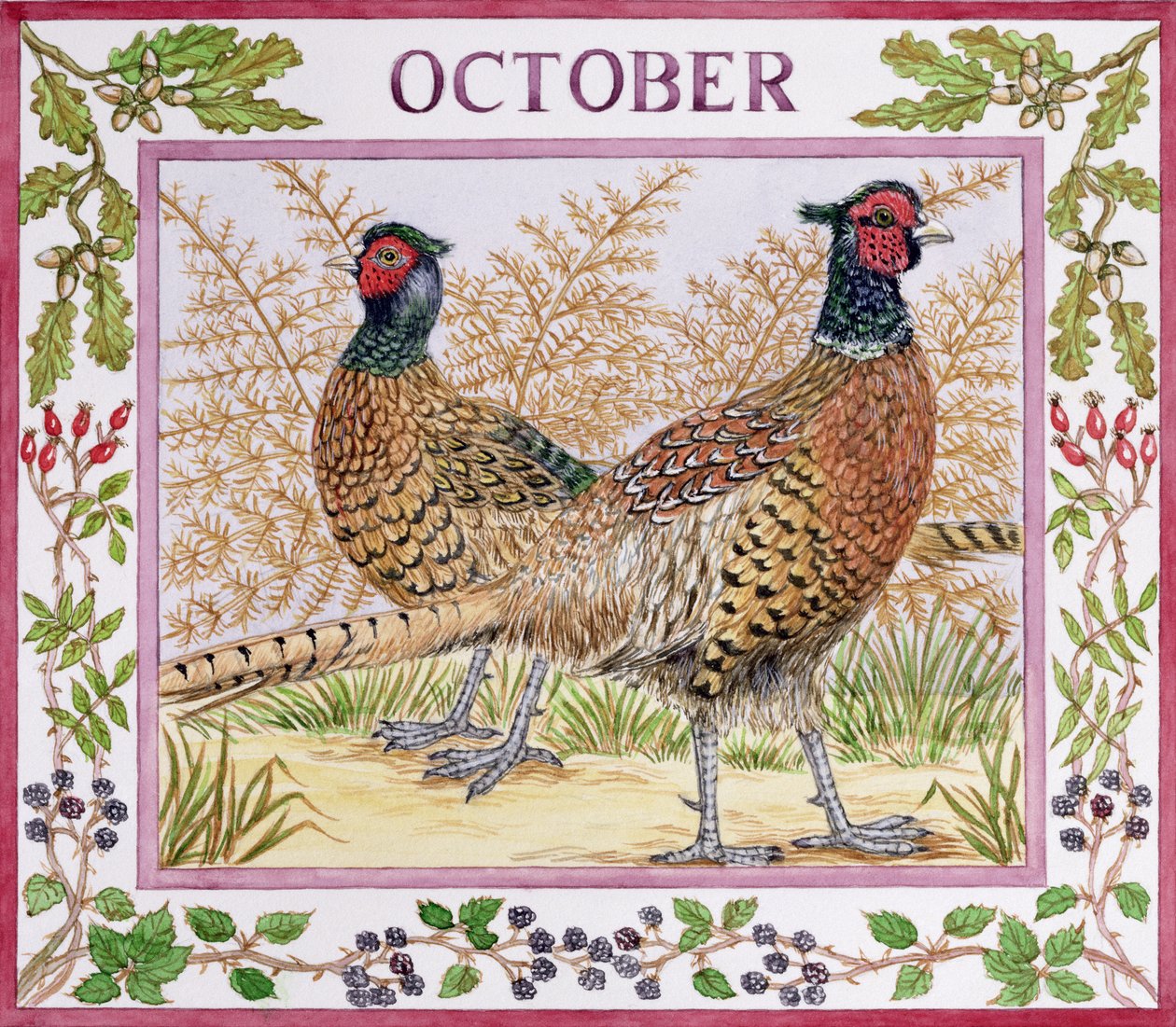 Październik (wc na papierze) autorstwa Catherine Bradbury