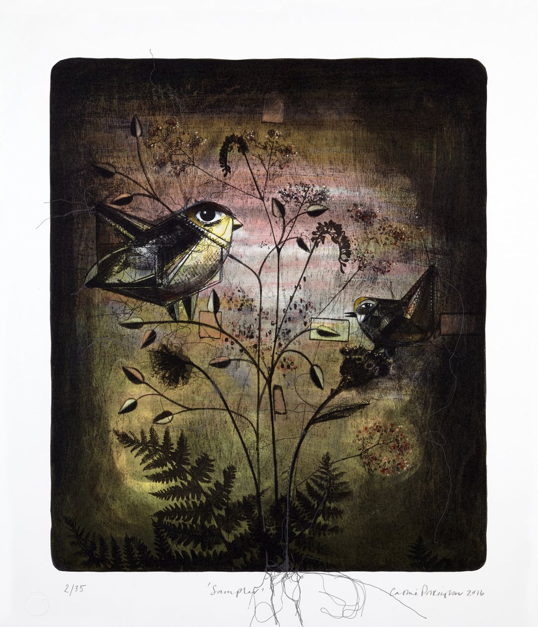 Sampler, 2016 (litografia mokulito z ręcznym kolorowaniem) autorstwa Cathie Pilkington