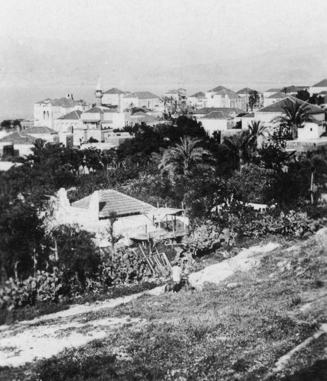 Bejrut z American College w Libanie, c1927-c1931. autorstwa Cavanders Ltd