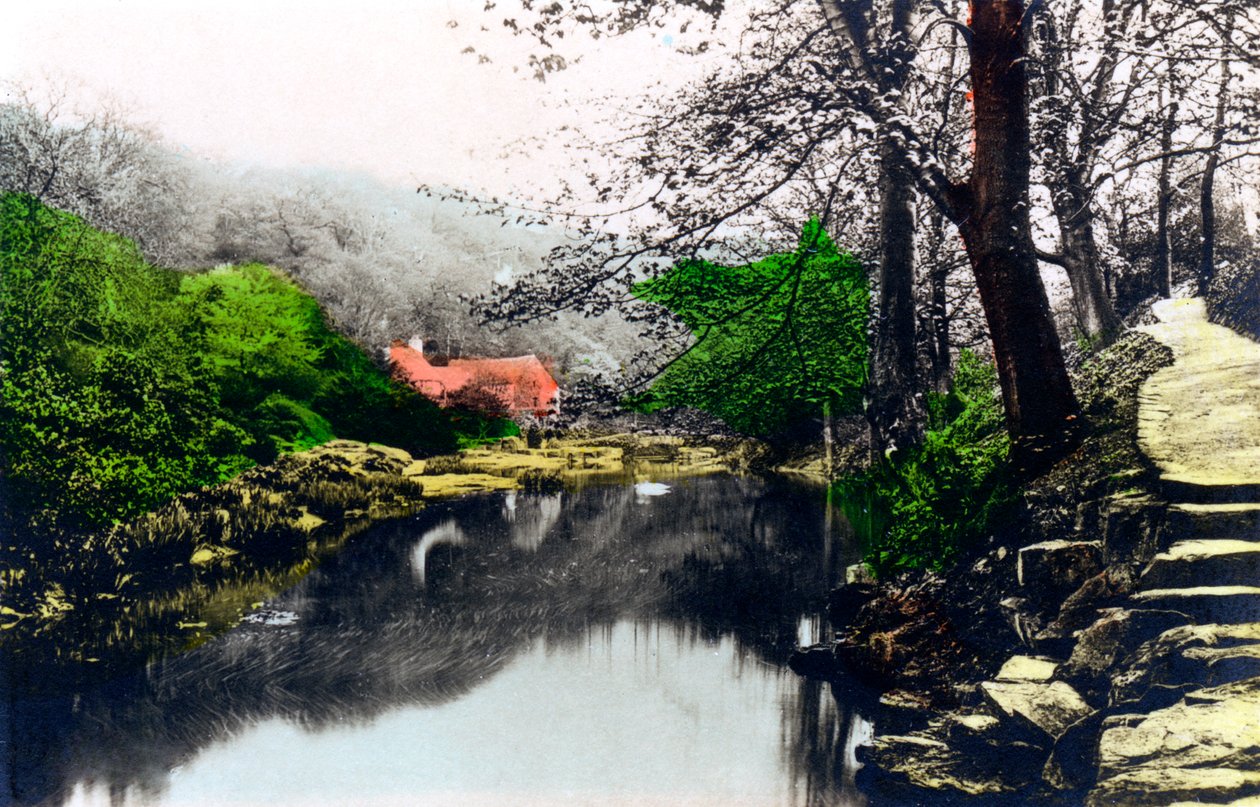 Jesmond Dene, Newcastle-upon-Tyne, Tyne & Wear, 1926. autorstwa Cavenders Ltd