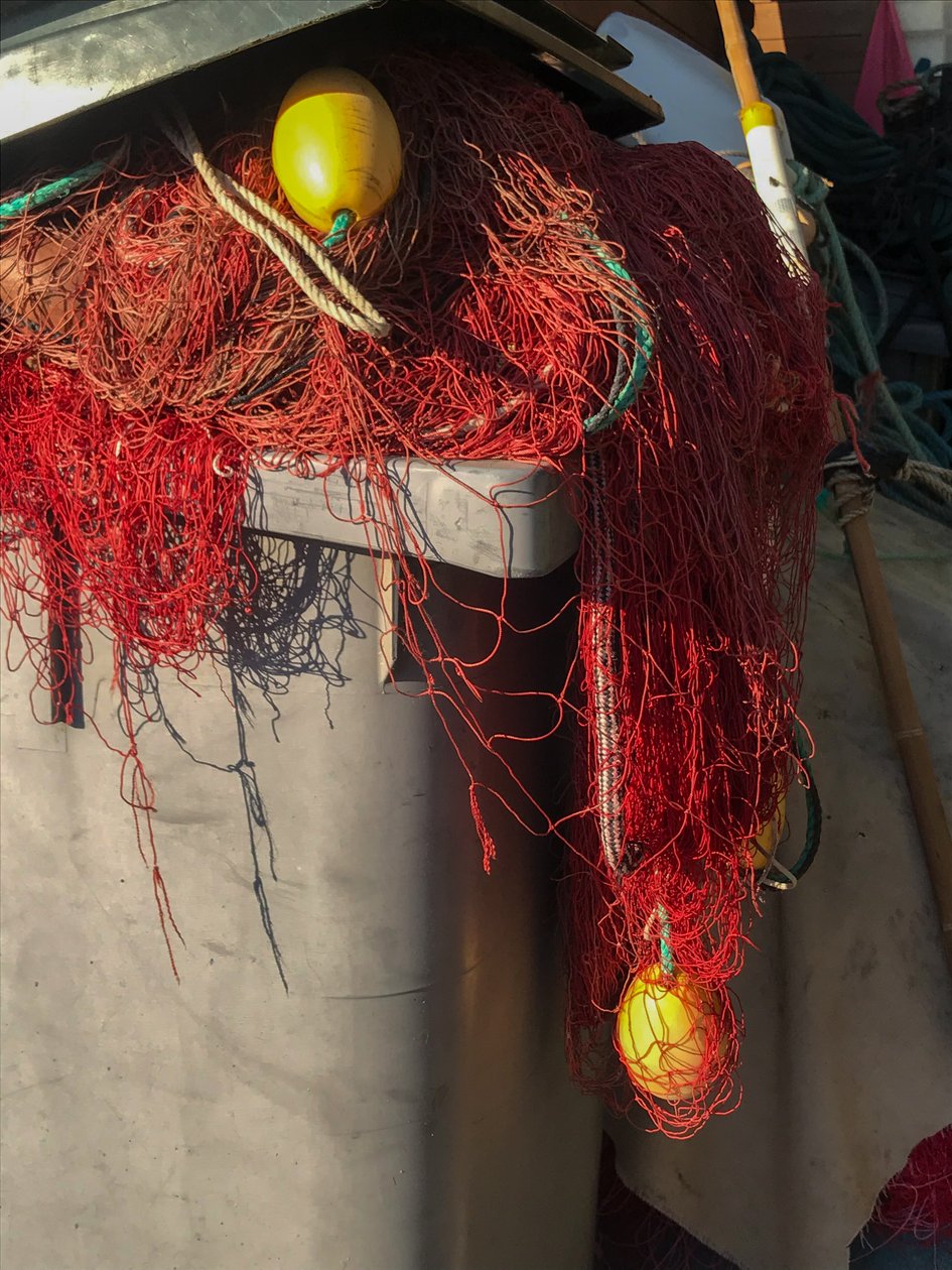 Skład - Nets, 2019 (zdjęcie) autorstwa Cécile Jamet