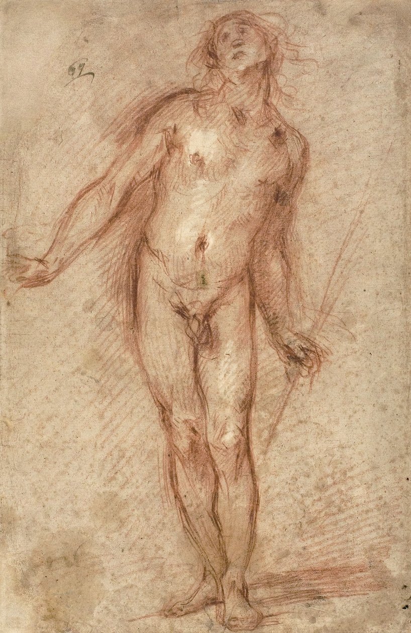Nagi mężczyzna stojący, 1637-38 autorstwa Cecco Bravo