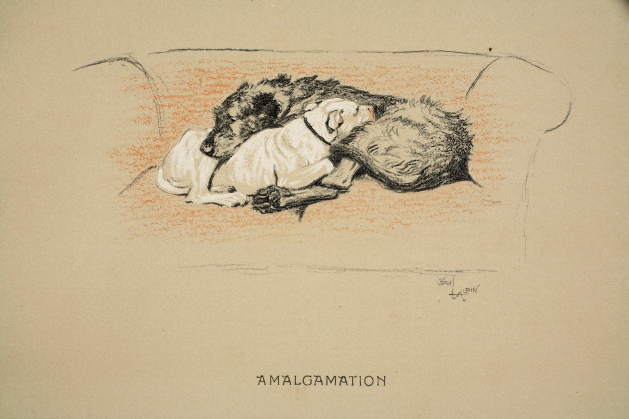Amalgamacja, 1930, 1. wydanie "Śpiących partnerów", Aldin, Cecil Charles Windsor (1870-1935), opublikowane przez Eyre and Spottiswoode Limited, kreda i węgiel drzewny na papierze autorstwa Cecil Charles Windsor Aldin