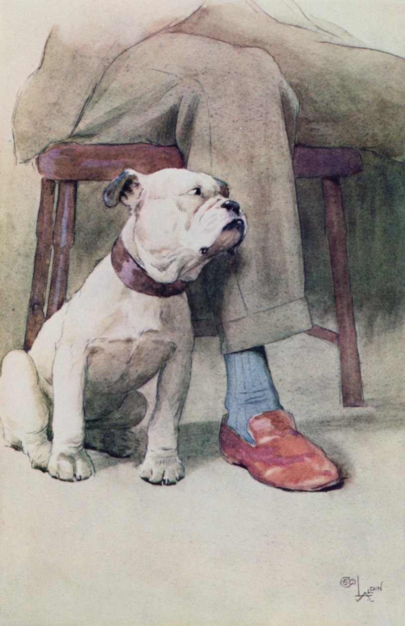 Bulldog (pióro i tusz oraz pranie na papierze) autorstwa Cecil Charles Windsor Aldin