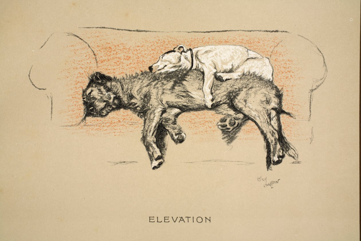 Elevation, 1930, 1. wydanie „Sleeping Partners”, Aldin, Cecil Charles Windsor (1870-1935), opublikowane przez Eyre i Spottiswoode Limited, Chalk and Charcoal na papierze autorstwa Cecil Charles Windsor Aldin
