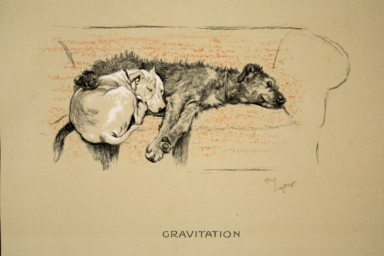 Gravitation, 1930, 1. wydanie „Sleeping Partners”, Aldin, Cecil Charles Windsor (1870-1935), opublikowane przez Eyre i Spottiswoode Limited, Chalk and Charcoal na papierze autorstwa Cecil Charles Windsor Aldin