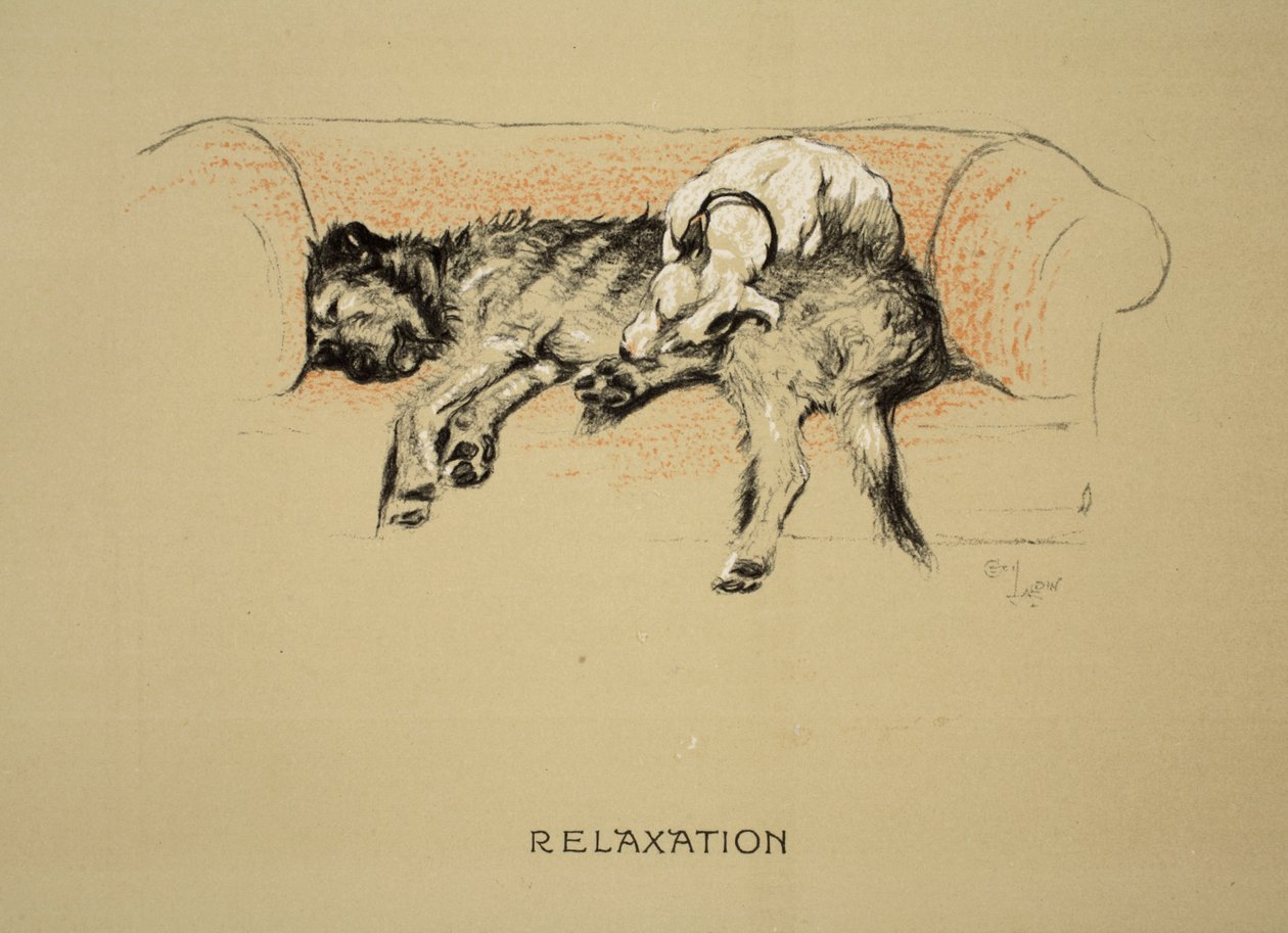 Relaks, 1930, 1. wydanie „Sleeping Partners”, Aldin, Cecil Charles Windsor (1870-1935), wydane przez Eyre i Spottiswoode Limited, Chalk and Charcoal na papierze autorstwa Cecil Charles Windsor Aldin