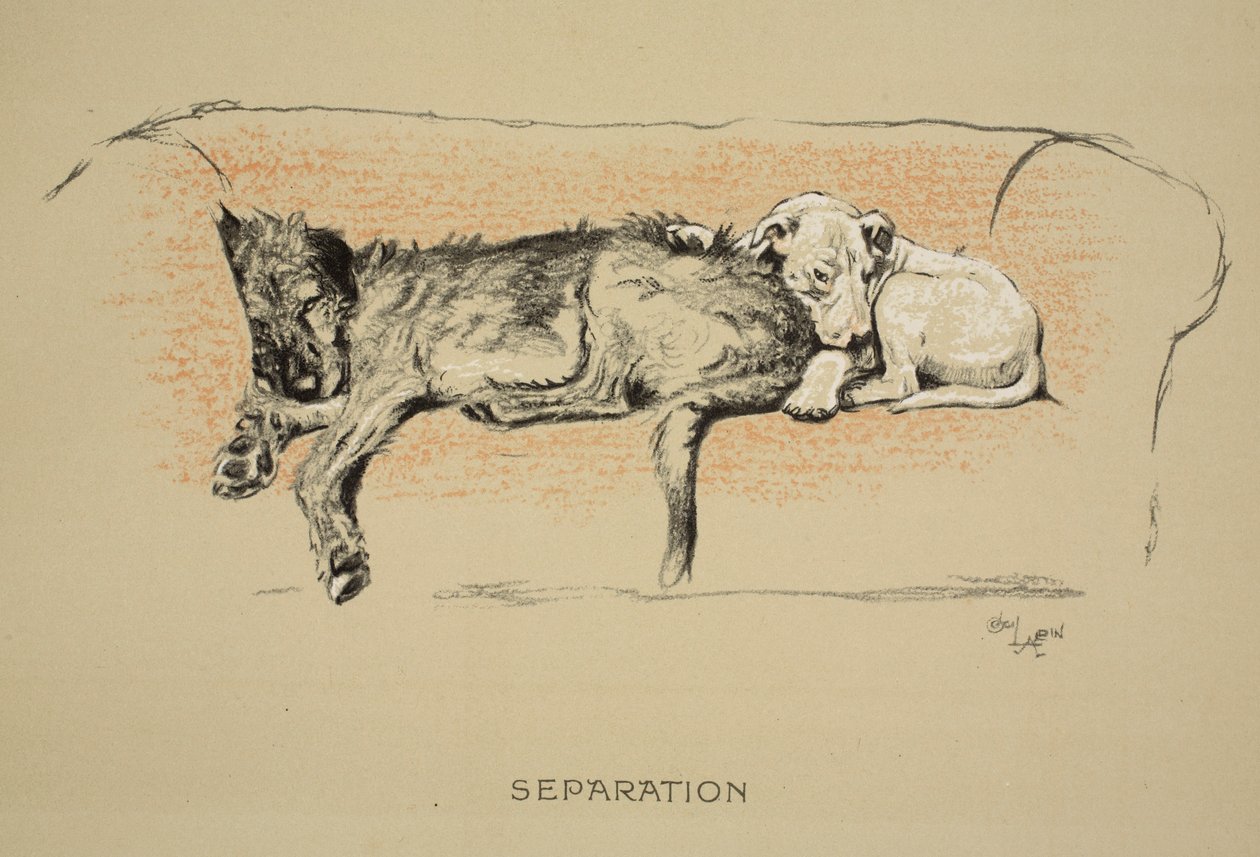 Separacja, 1930, 1. wydanie „Sleeping Partners”, Aldin, Cecil Charles Windsor (1870-1935), opublikowane przez Eyre i Spottiswoode Limited, Chalk and Charcoal na papierze autorstwa Cecil Charles Windsor Aldin