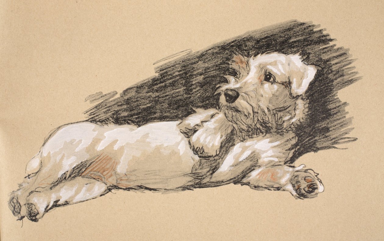 Terrier Detail, 1930, Ilustracje z jego szkicownika użytego do „Just Among Friends”, Aldin, Cecil Charles Windsor (1870-1935), później wydane przez Eyre i Spottiswoode Limited, 1934, Chalk and Char autorstwa Cecil Charles Windsor Aldin
