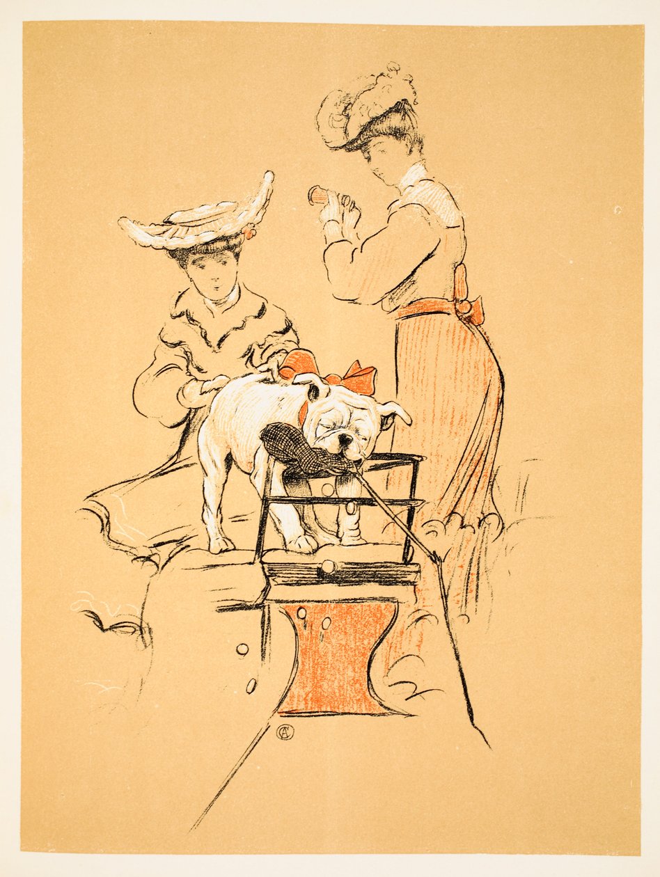 Przeciąganie liny, z „Gejowski pies, opowieść o głupim roku” Aldin, Cecil Charles Windsor (1870-1935), opublikowano William Heineman, 1905. 1. wydanie Ilustracja, kreda i kredka na papierze autorstwa Cecil Charles Windsor Aldin