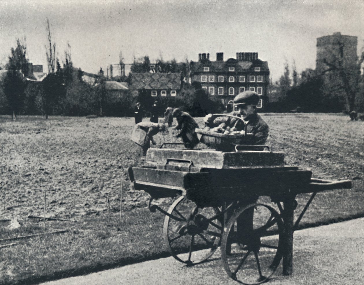 Ziemniaki w ogrodach Kew, 1941 autorstwa Cecil Beaton
