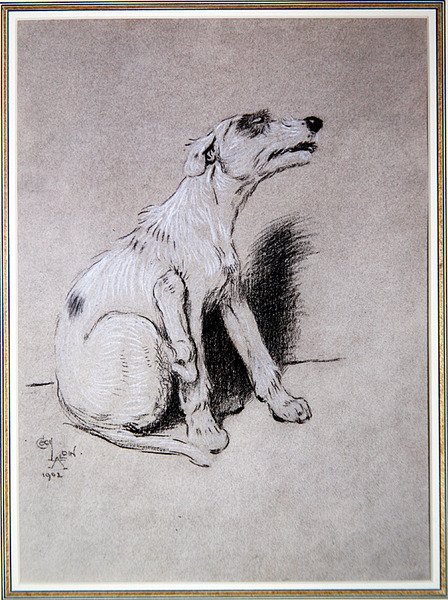„5:15 Przebudzeni przez zły atak egzemy”, ilustracja z Dnia psa Waltera Emanuela autorstwa Cecil Charles Windsor Aldin