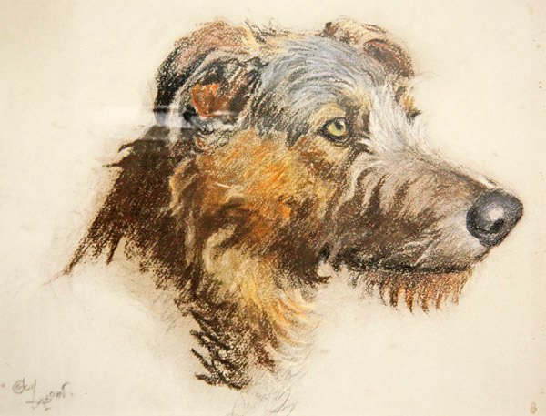 Scottish Deer Hound (pastelowy na przyciemnianym papierze) autorstwa Cecil Charles Windsor Aldin