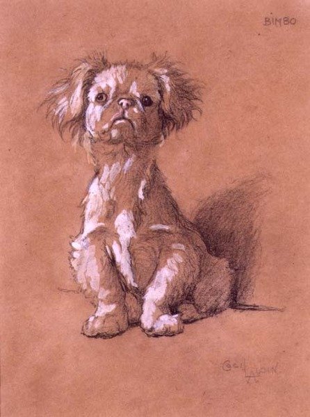 Bimbo (ołówek i gwasz na papierze) autorstwa Cecil Charles Windsor Aldin