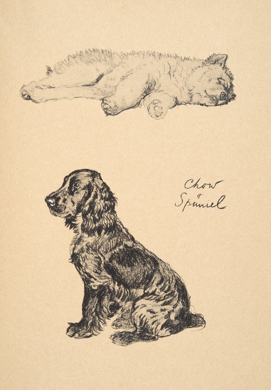 Chow and Spaniel, 1930, Ilustracje z jego szkicownika użytego do „Just Among Friends”, Aldin, Cecil Charles Windsor (1870-1935), później wydane przez Eyre i Spottiswoode Limited, 1934, Chalk and Ch autorstwa Cecil Charles Windsor Aldin