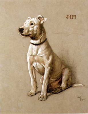 Jim, Bull Terrier (kreda na szarym papierze) autorstwa Cecil Charles Windsor Aldin