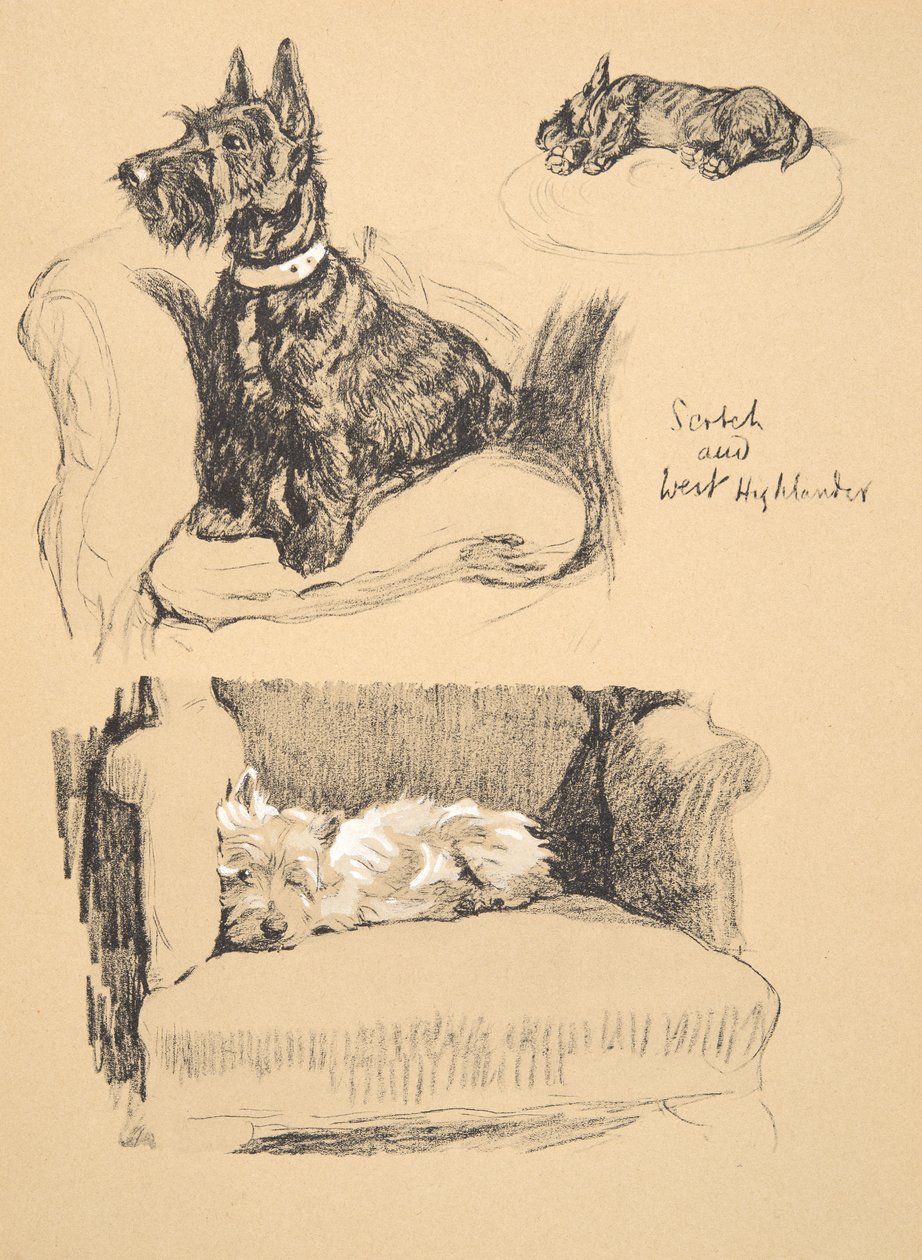 Scotch and West Highlander, 1930, Ilustracje z jego szkicownika używanego do Just Among Friends, Aldin, Cecil Charles Windsor (1870-1935), później wydane przez Eyre i Spottiswoode Limited, 1934, Chal autorstwa Cecil Charles Windsor Aldin