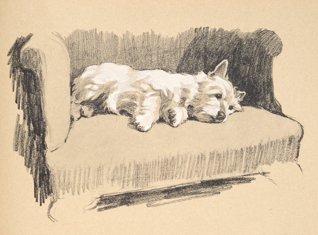 West Highlander, 1930, Ilustracje z jego szkicownika użytego do „Just Among Friends”, Aldin, Cecil Charles Windsor (1870-1935), później wydane przez Eyre i Spottiswoode Limited, 1934, Chalk and Cha autorstwa Cecil Charles Windsor Aldin