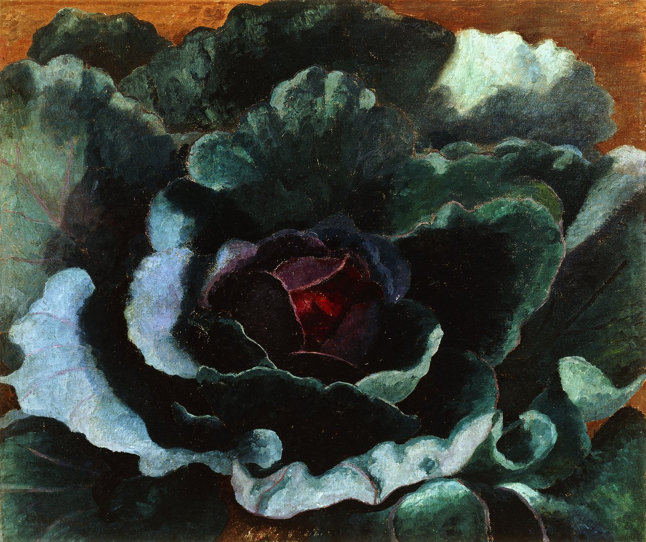Kapusta autorstwa Cedric Morris