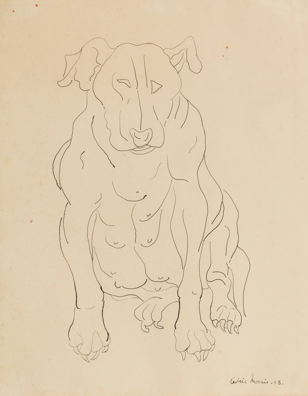 Buldog Nancy Morris autorstwa Cedric Morris