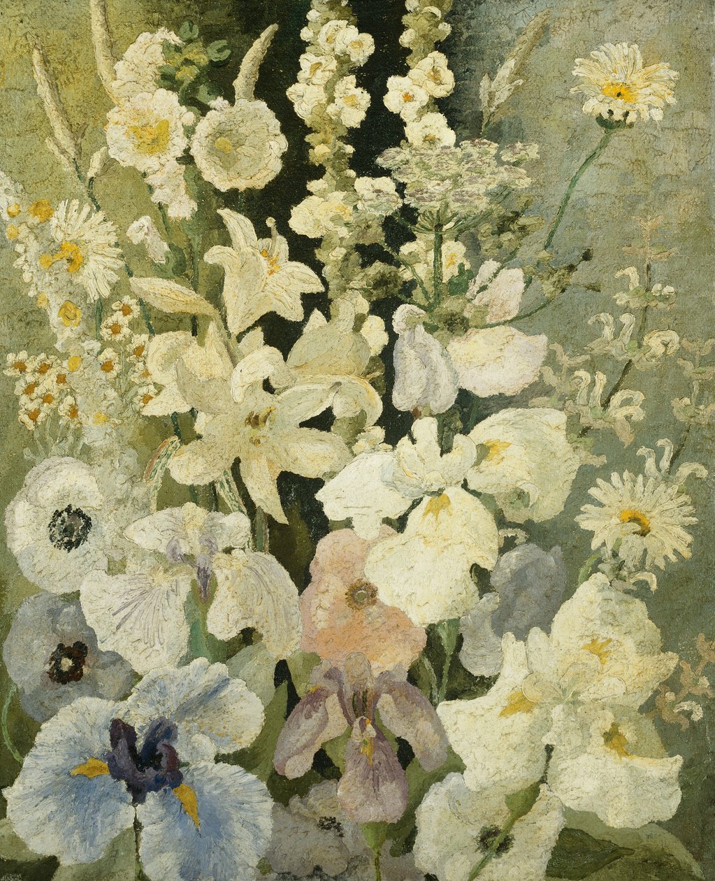 Białe kwiaty autorstwa Cedric Morris