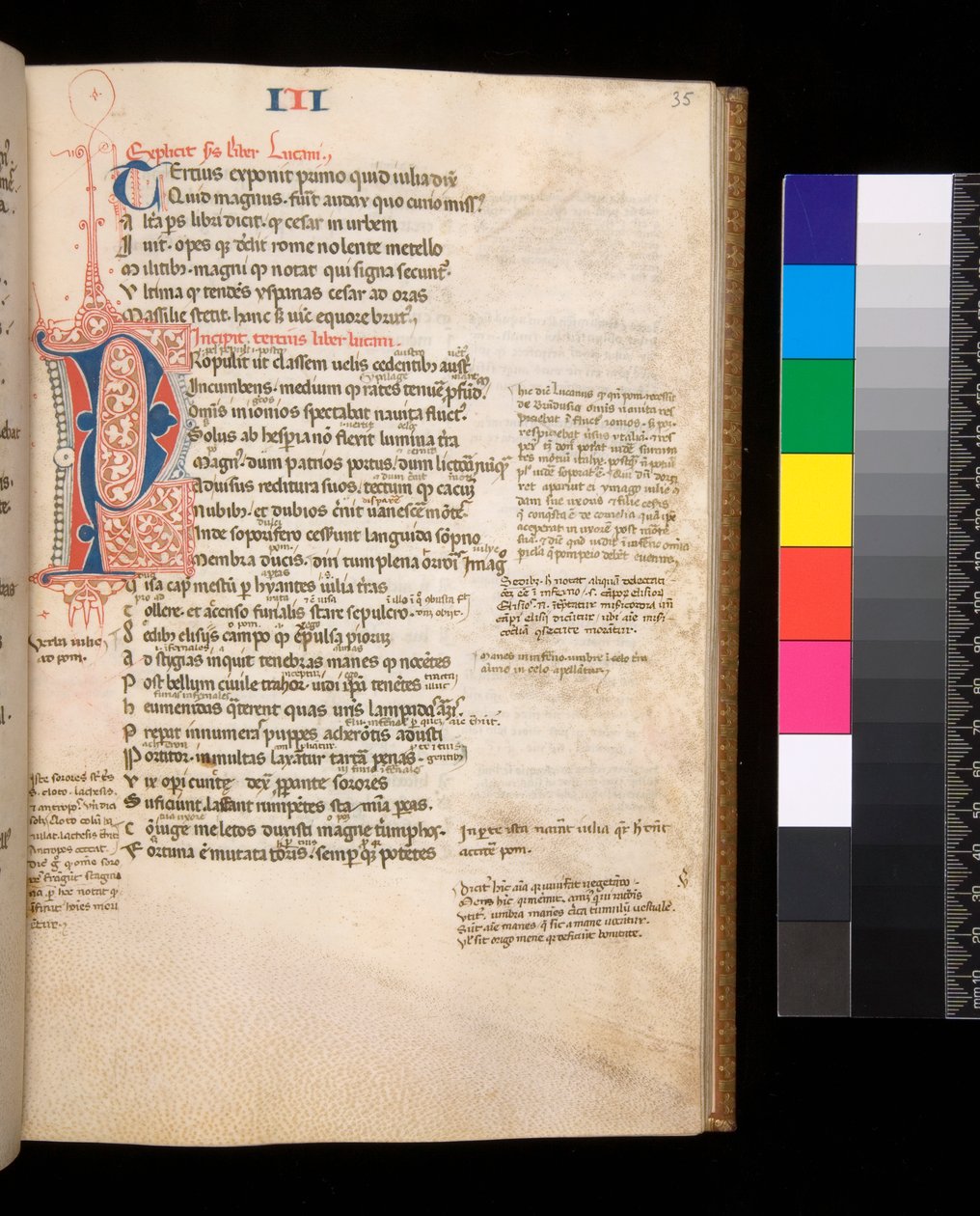 Ms 325. Lucan, Bellum Civile i inne dzieła, f.35r. Rozcięty inicjał [P] w kolorze czerwonym i niebieskim z kontrastowym zawijasem pióra, ok. 1353 (pergamin) autorstwa Central Italian School