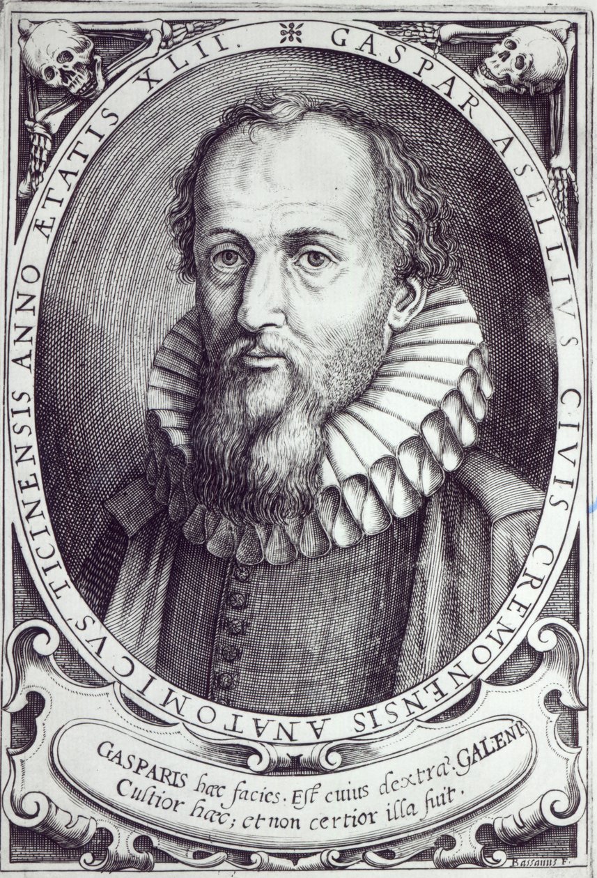 Gaspare Aselli autorstwa Cesare Bassano