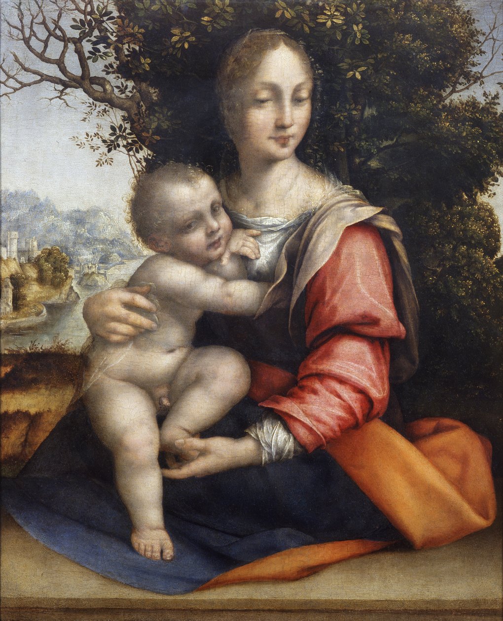 Madonna z Dzieciątkiem (Matka Boża z Drzewa) autorstwa Cesare da Sesto