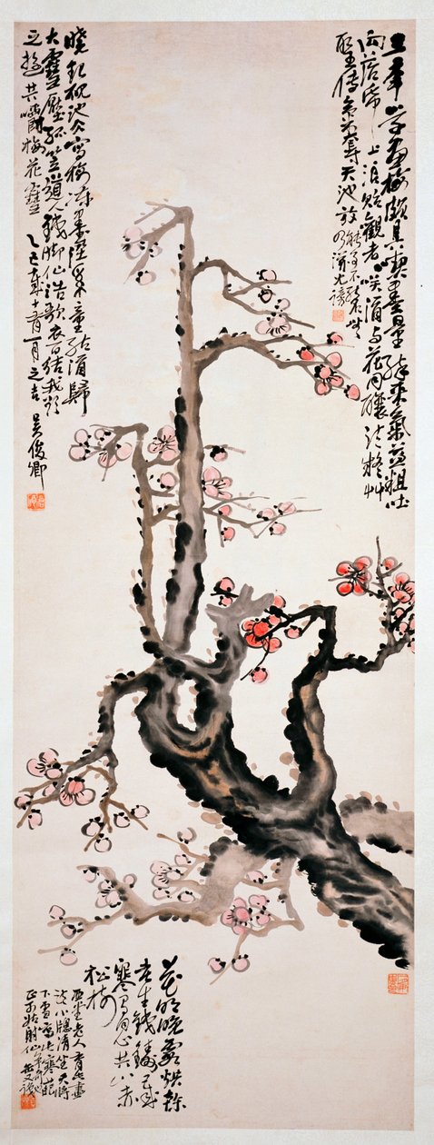 Czerwone kwiaty śliwki, 1905 autorstwa Changshuo Wu