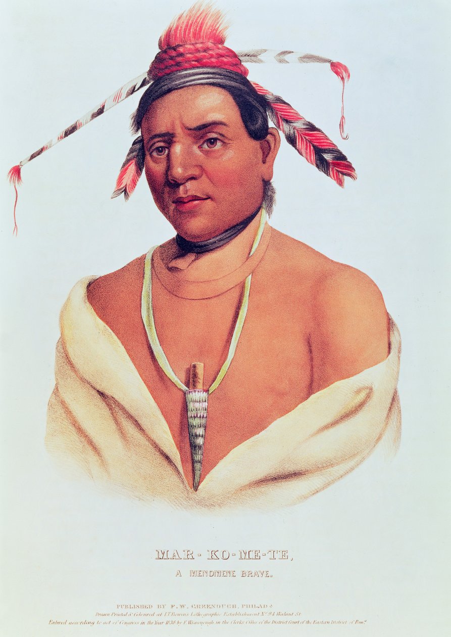 Portret Mar-Ko-i-Te, dzielnym Menomene 1838 autorstwa Charles Bird King