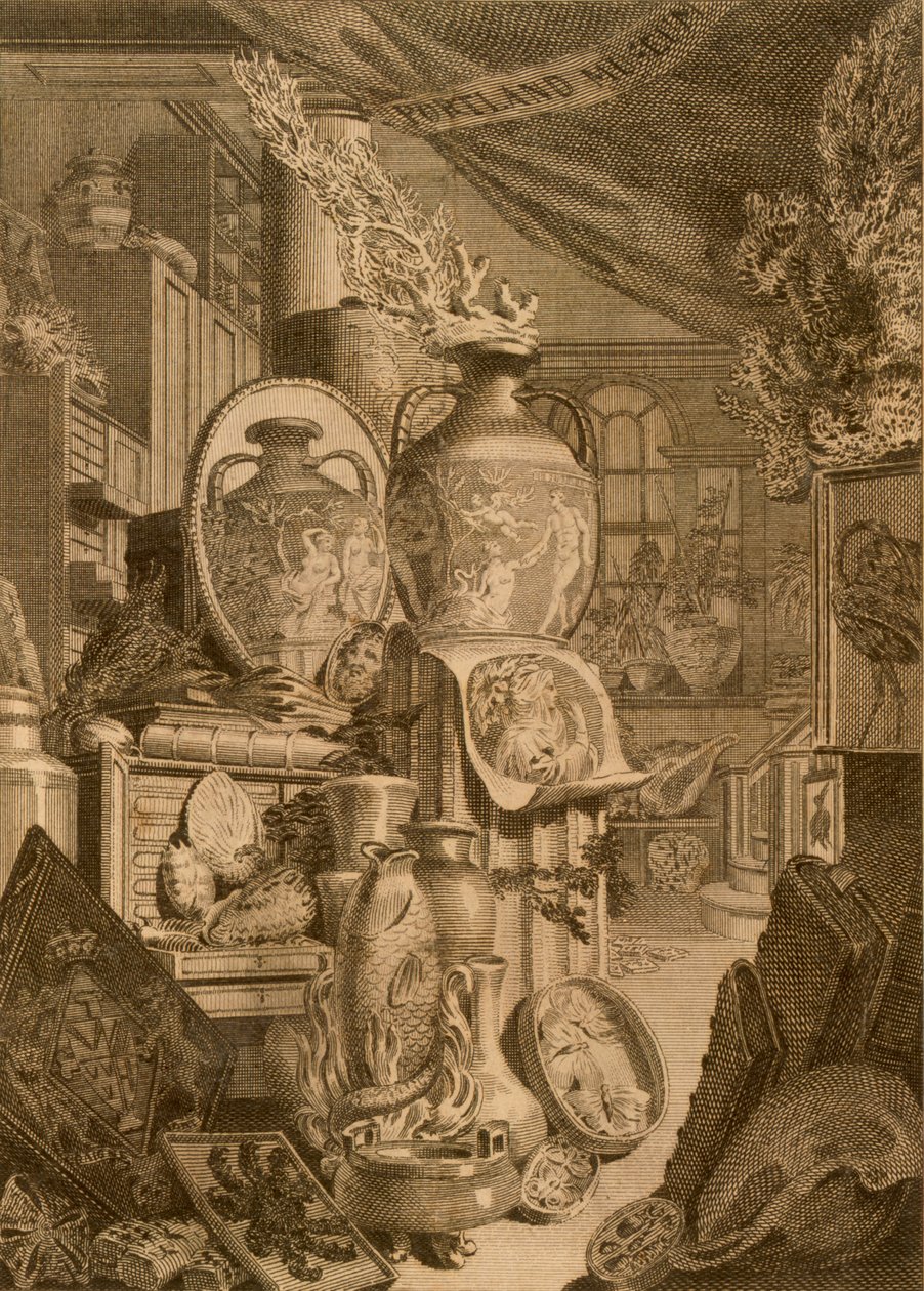 Muzeum Portland, 1786 autorstwa Charles Burney