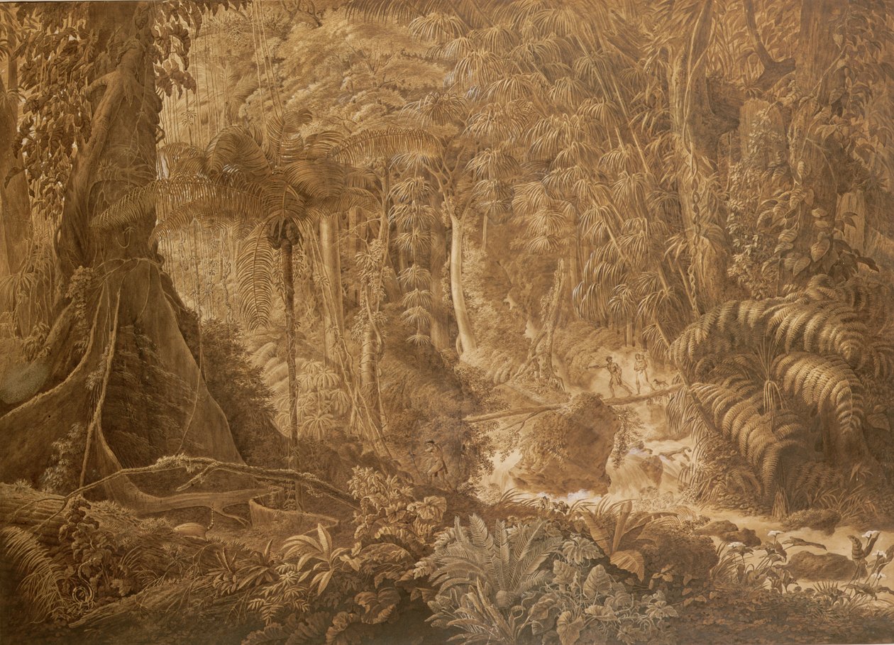 Brazylijski las deszczowy, ok. 1819 autorstwa Charles Comte de Clarac
