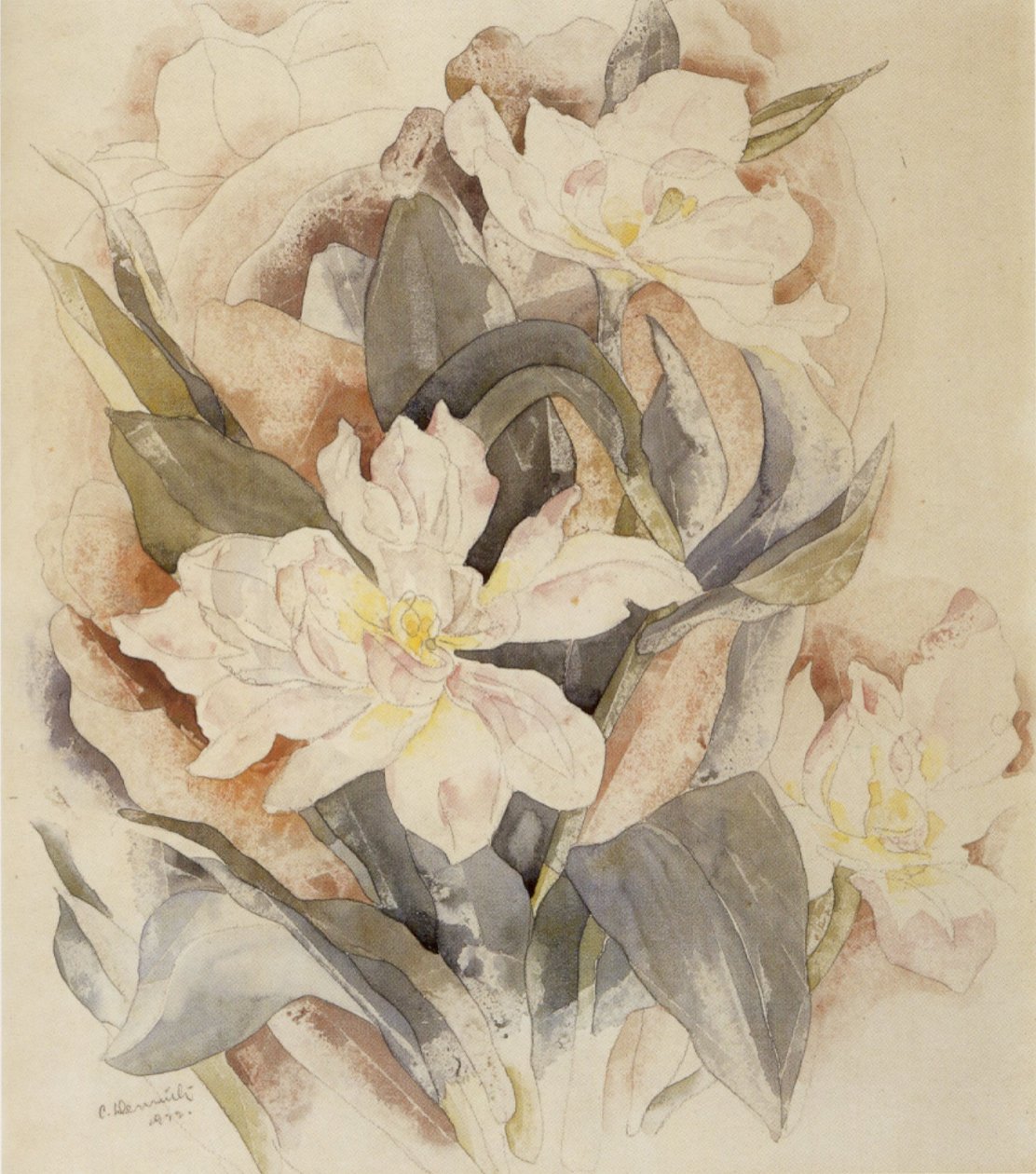 Studium kwiatów autorstwa Charles Demuth