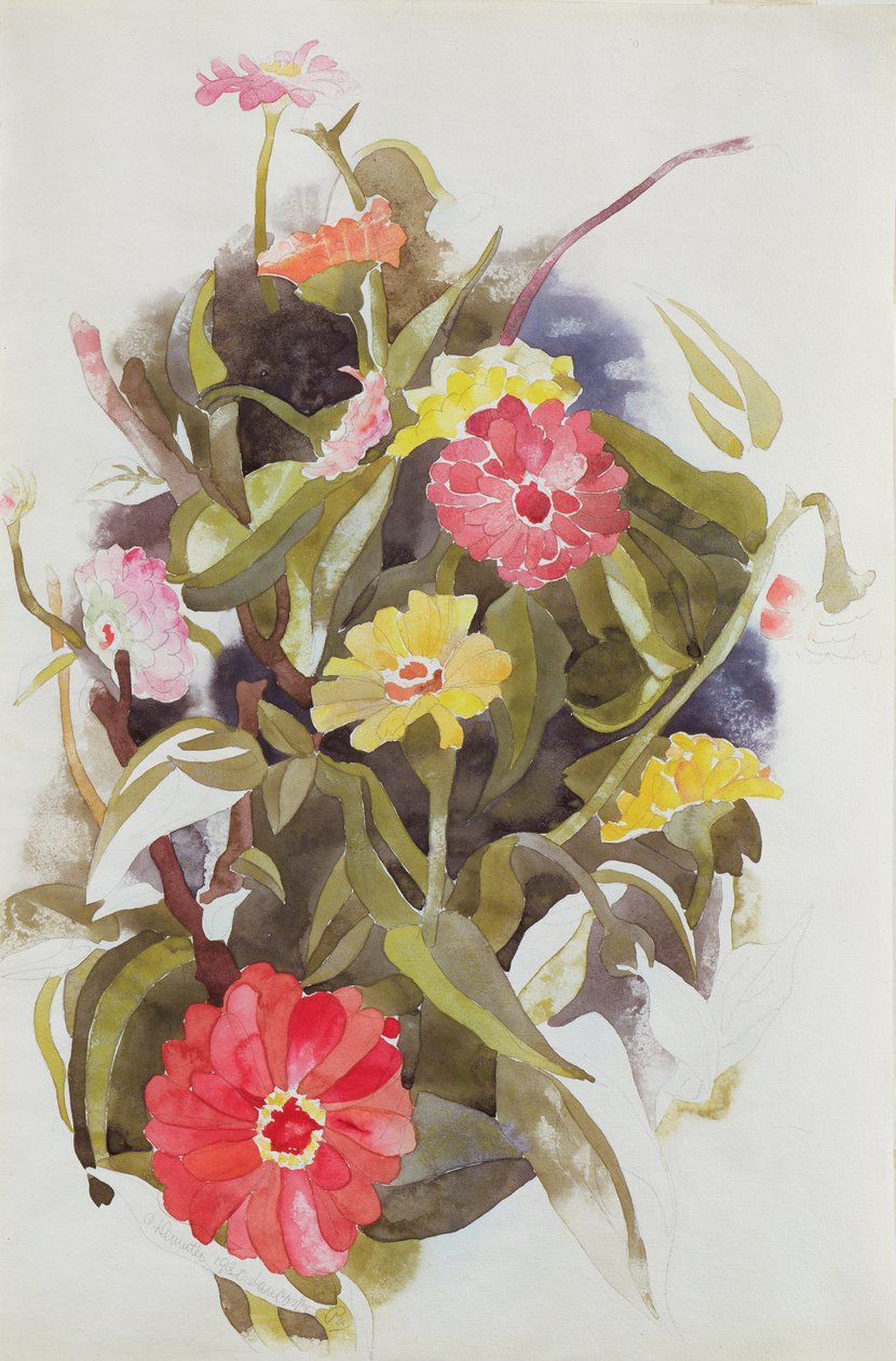 Cynia, 1920 (wc na papierze) autorstwa Charles Demuth