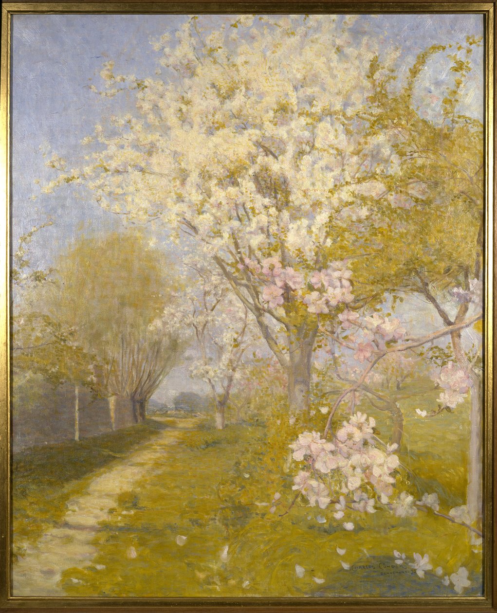 Kwiat jabłoni w Dennemont, 1893 autorstwa Charles Edward Conder
