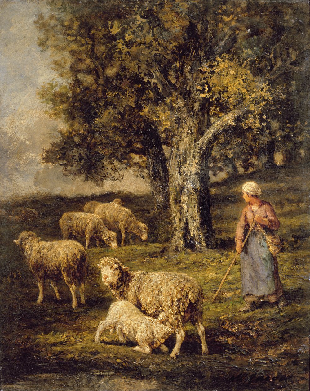 Pasterz i owce w barbizońskim pejzażu autorstwa Charles Emile Jacque