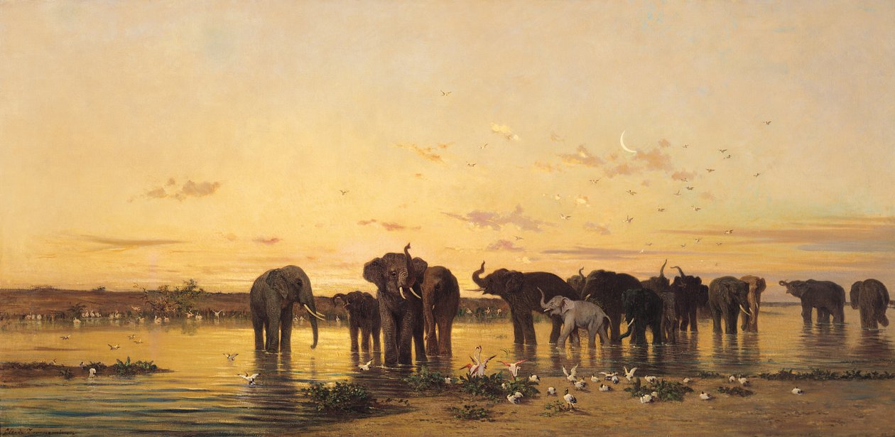 Słonie afrykańskie autorstwa Charles Émile de Tournemine