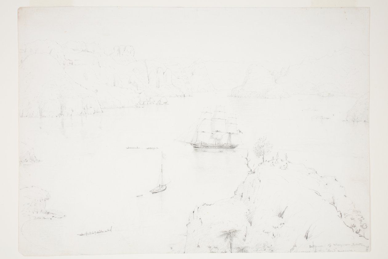 Wejście Wangaroa, północ. Miejsce masakry Boyda autorstwa Charles Heaphy