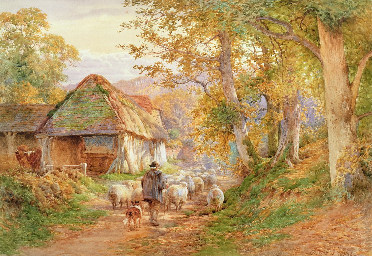 Powrót do fałdy autorstwa Charles James Adams