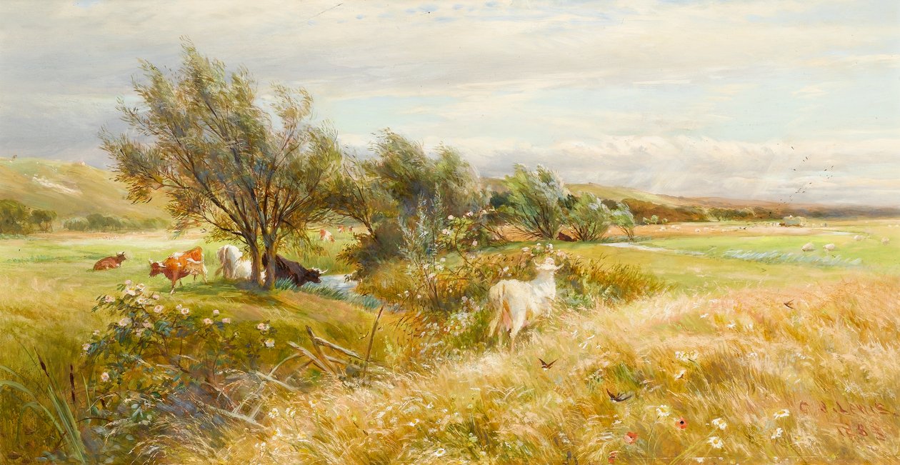 Bydło na wodnej łące (olej na papierze) autorstwa Charles James Lewis