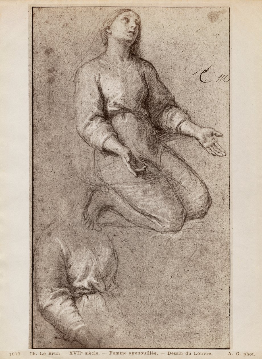 Klęcząca kobieta, ok. 1685 (pierre noire i białe kredowe refleksy na beżowym papierze) autorstwa Charles Le Brun