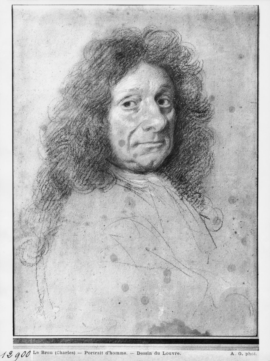 Portret mężczyzny, zwrócony w prawo (pastelowo-węglowy na szaro-beżowym papierze) autorstwa Charles Le Brun