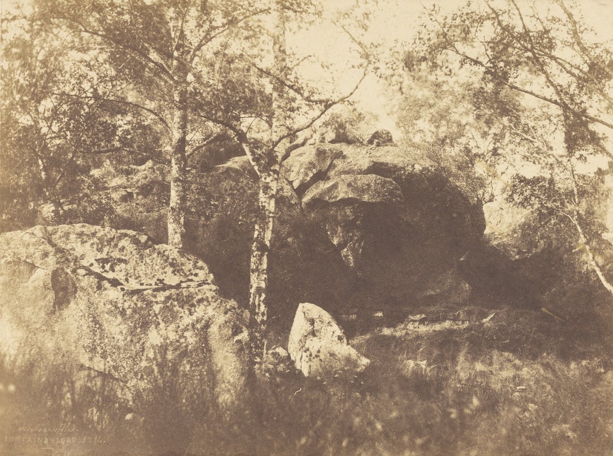 Fontainebleau autorstwa Charles Marville