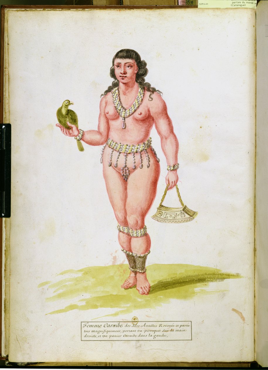 Pochodzący z Karaibów z papugą, z rękopisu o roślinach i cywilizacji na Antylach, ok. 1686 autorstwa Charles Plumier