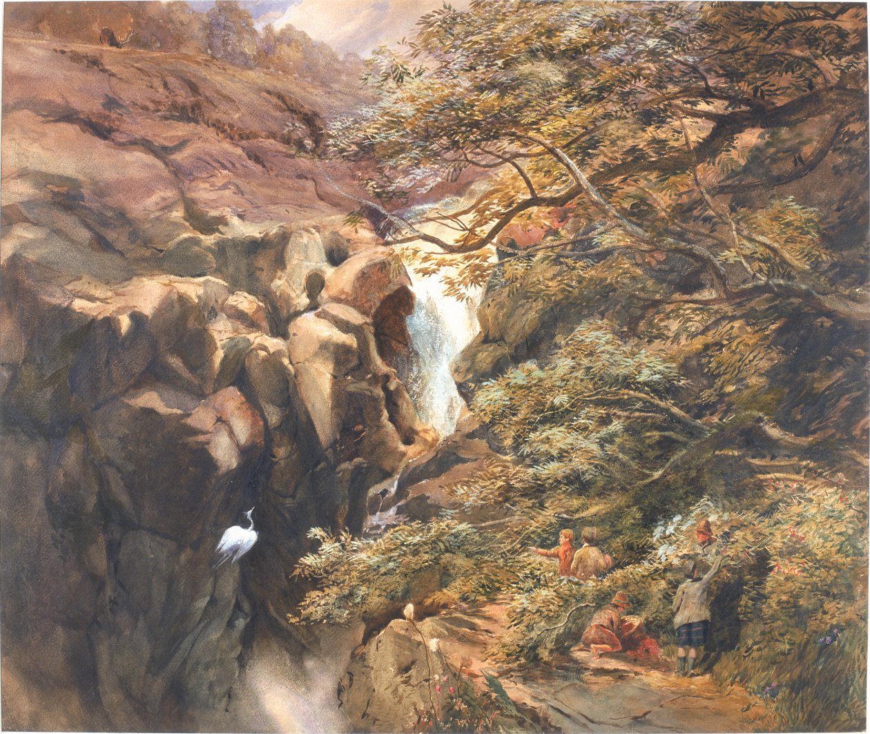 Falls of Bran (kolor nadwozia i toaleta na papierze) autorstwa Charles Richardson